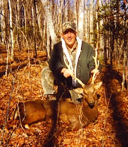 English Sika — Exotic Hunts at Gunners Taxidermy