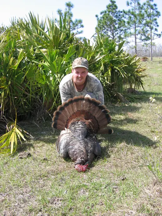 Osceola Turkey Hunts — photograph from the Gunners Taxidermy gallery