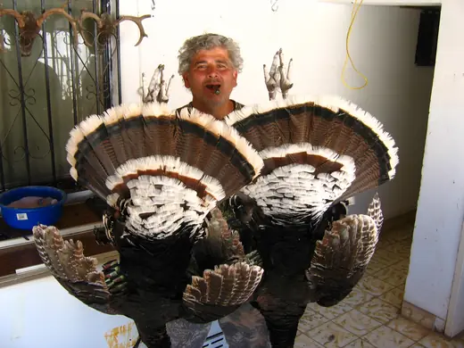 Gould's Turkey Hunts — photograph from the Gunners Taxidermy gallery