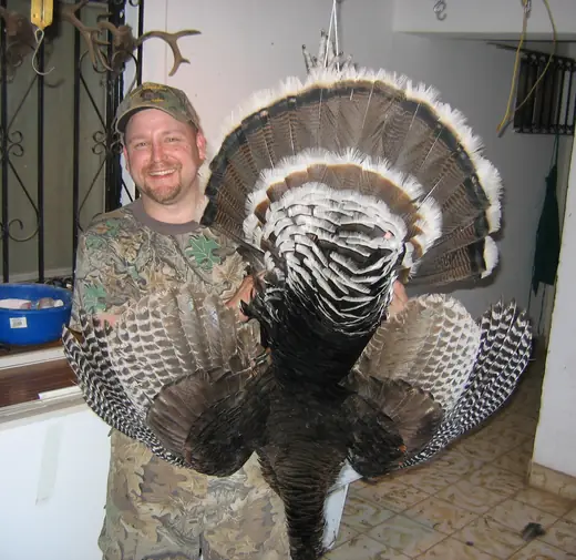 Gould's Turkey Hunts — photograph from the Gunners Taxidermy gallery