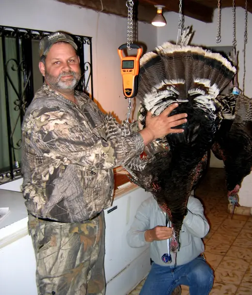 Gould's Turkey Hunts — photograph from the Gunners Taxidermy gallery