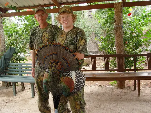 Ocellated Turkey Hunts 052 — Ocellated Turkey Hunts at Gunners Taxidermy